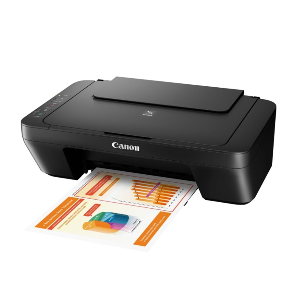 Canon PIXMA MG2550S