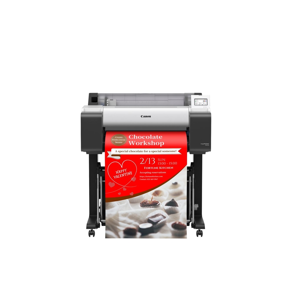 Canon imagePROGRAF TM-255 24